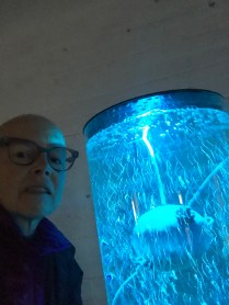 Clphpry7ShmmFOGz9++MUA